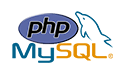 website-development-company